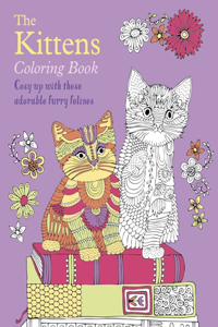 Kittens Coloring Book