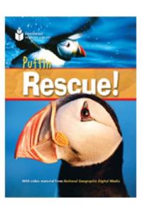 Puffin Rescue!