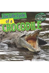 The Life Cycle of a Crocodile
