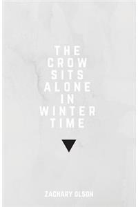 crow sits alone in winter time
