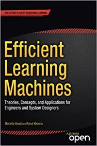 Efficient Learning Machines Theories, Concepts, And Applications For Engineers And System Designers