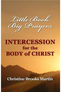 Little Book, Big Prayers: Intercession for the Body of Christ