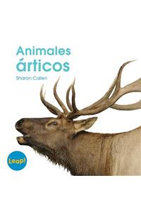 Animales Árticos