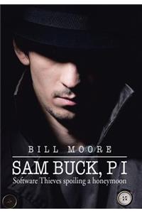 Sam Buck, P I: Software Thieves Spoiling a Honeymoon