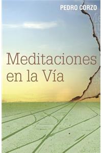 Meditaciones en la vía