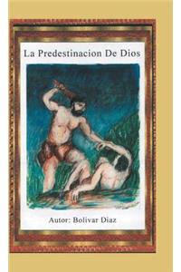 predestinación de Dios