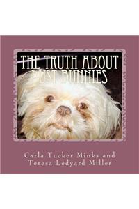 The Truth About Dust Bunnies