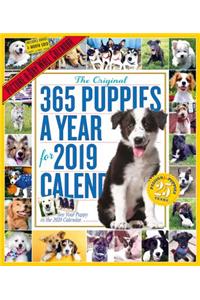 365 Puppies-A-Year Picture-A-Day Wall Calendar 2019