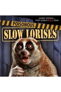 Poisonous Slow Lorises