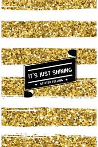 It's Just Shining Glitter Feeling: Internet Password Organizer: (Gold & White Shining Glitter)