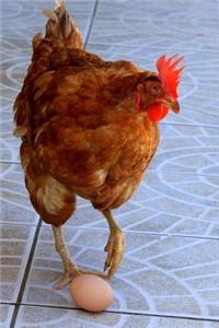 A Chicken and an Egg Conundrum Journal