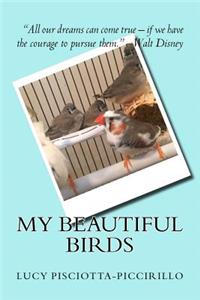 My Beautiful Birds