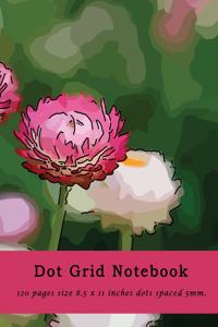 Dot Grid Notebook 120 pages size 8.5 x 11 inches dots spaced 5mm.