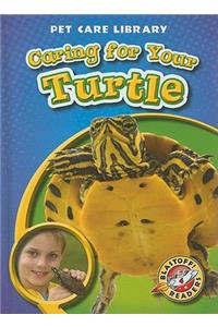 Caring for Your Turtle