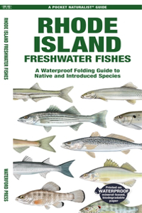 Rhode Island Freshwater Fishes