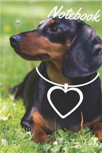 Dachshund Notebook