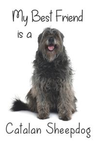My best Friend is a Catalan Sheepdog