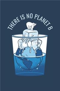 There is no Planet B