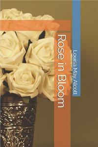 Rose in Bloom
