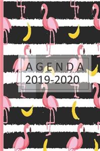 agenda 2019-2020: lindo planificador 2019-2020 del 1 de julio del 2019 al 31 de diciembre del 2020 diario semanal mensual