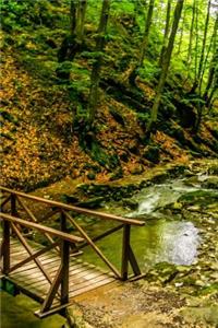 Wood Bridge in the Forest in Bulgaria Journal