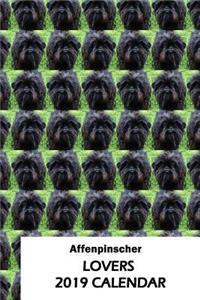 Affenpinscher Lovers 2019 Calendar