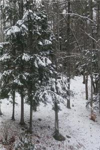 2019 Daily Planner Winter Pretty Snowstorm 384 Pages