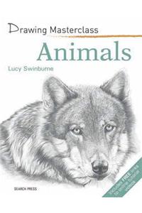 Drawing Masterclass: Animals