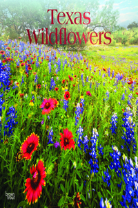 Texas Wildflowers 2023 Square Foil