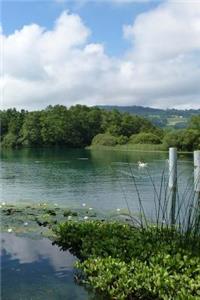 Placed Lake Switzerland