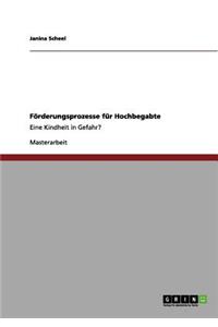 Förderungsprozesse für Hochbegabte