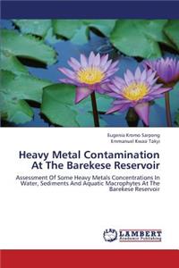 Heavy Metal Contamination at the Barekese Reservoir