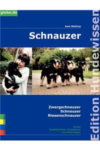 Schnauzer