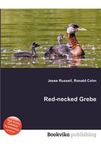 Red-Necked Grebe