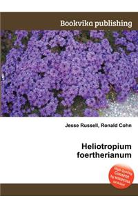 Heliotropium Foertherianum