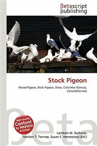 Stock Pigeon