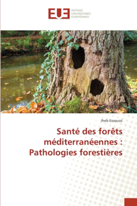 Santé des forêts méditerranéennes