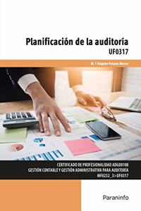 Planificacion de la auditoria