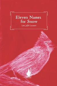 Eleven Names for Snow