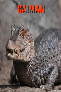 Caiman