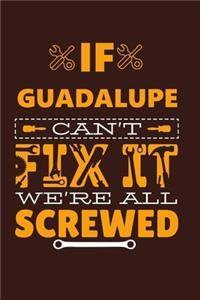 If GUADALUPE Can't Fix It