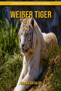 Weißer Tiger