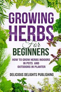 Growing Herbs For Beginners