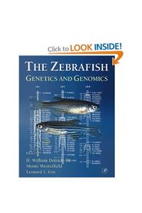 Methods In Cell Biology, Volume 60, Zebrafish, Genetics And Genomics