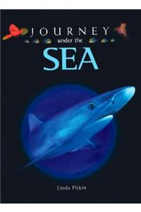 Journey Under the Sea