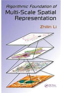 Algorithmic Foundation of Multi-Scale Spatial Representation