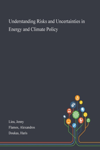 Understanding Risks and Uncertainties in Energy and Climate Policy