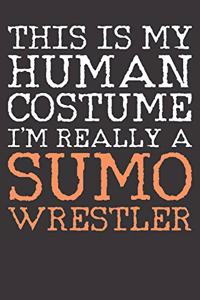 Sumo Notebook