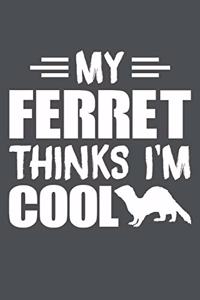 My Ferret Thinks I'm Cool