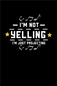 I'm Not Yelling I' Just Projecting